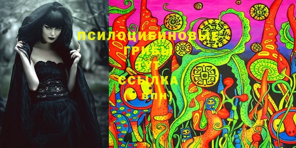 СК Лиски