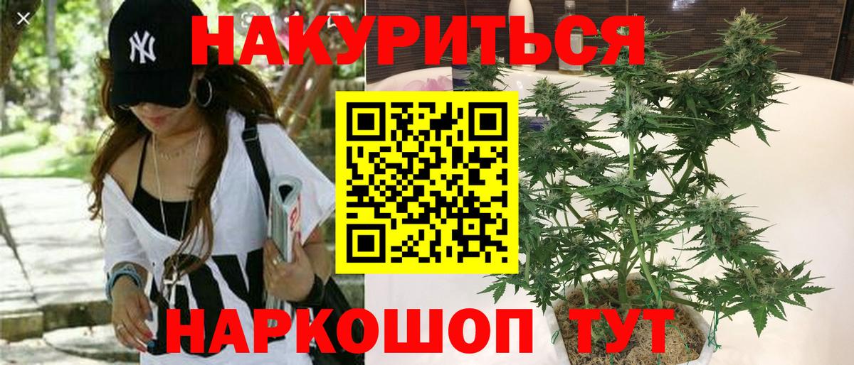 Канабис Ganja  Бошки марихуана план  Вход с VPN  Великий Новгород  Марихуана гибрид 